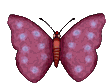 Gif 319 a